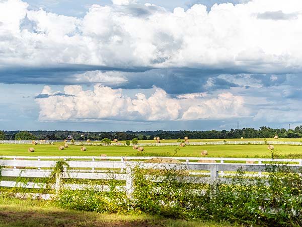 Sell a Home in Marianna, FL