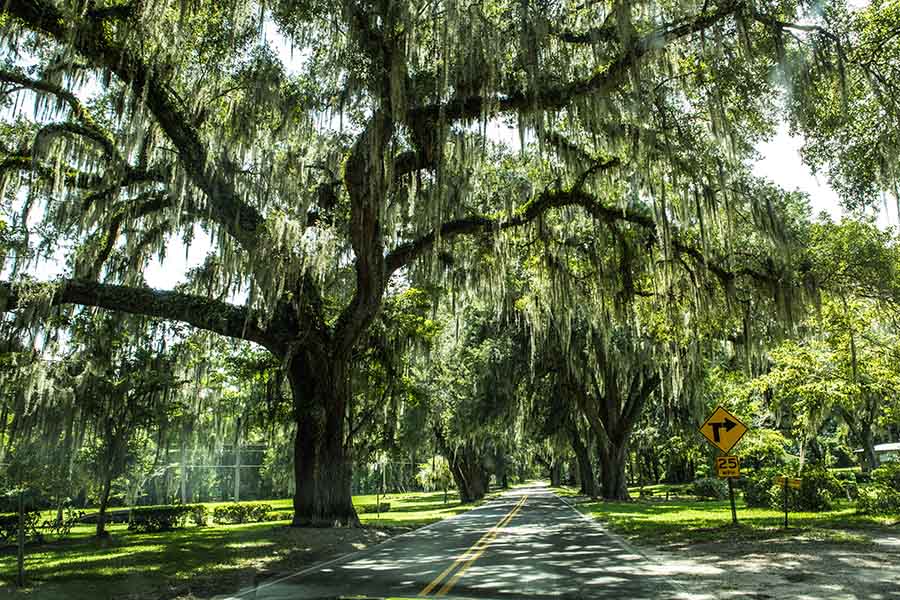 Real Estate in Marianna, FL